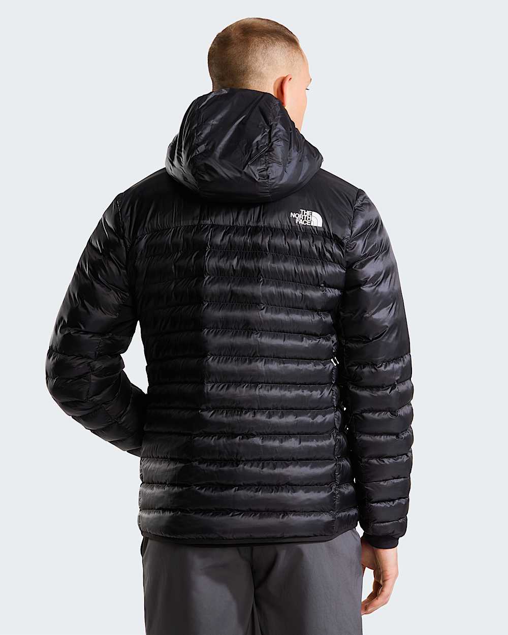Mens Terra Peak Hooded Jacket TNF ALT3