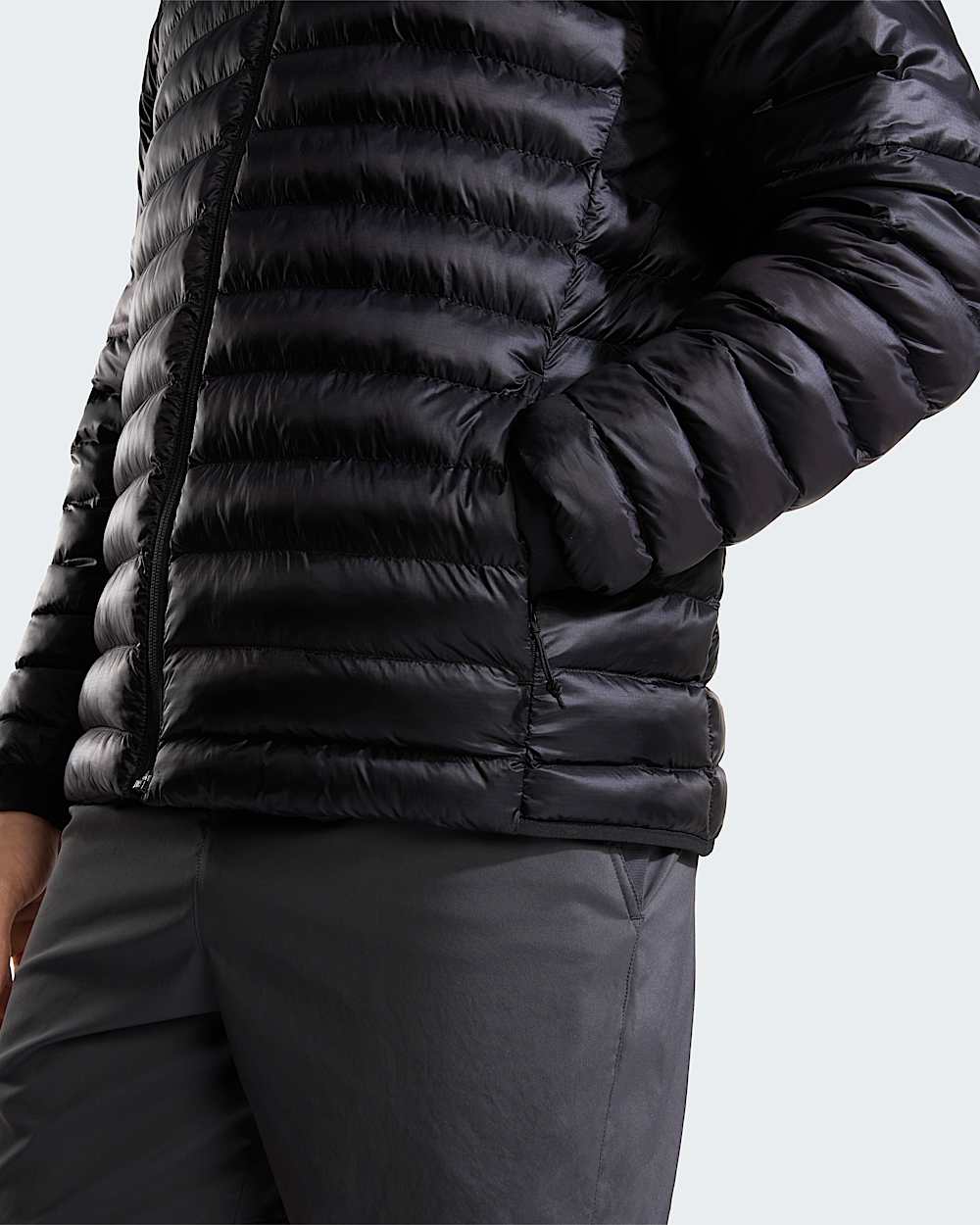 Mens Terra Peak Hooded Jacket TNF ALT6
