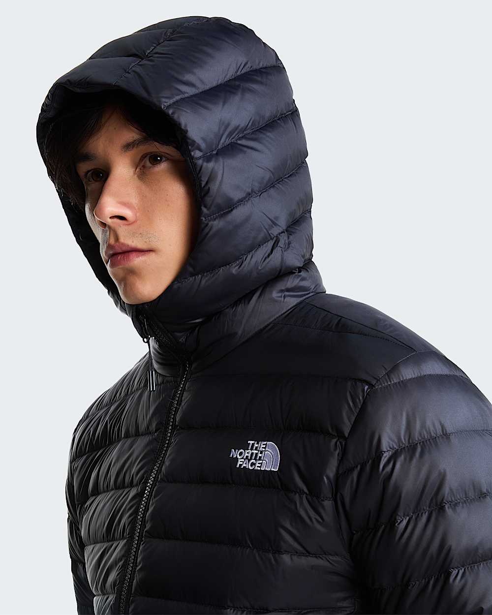 Classicdonsjas met capuchon voor heren TNF ALT5