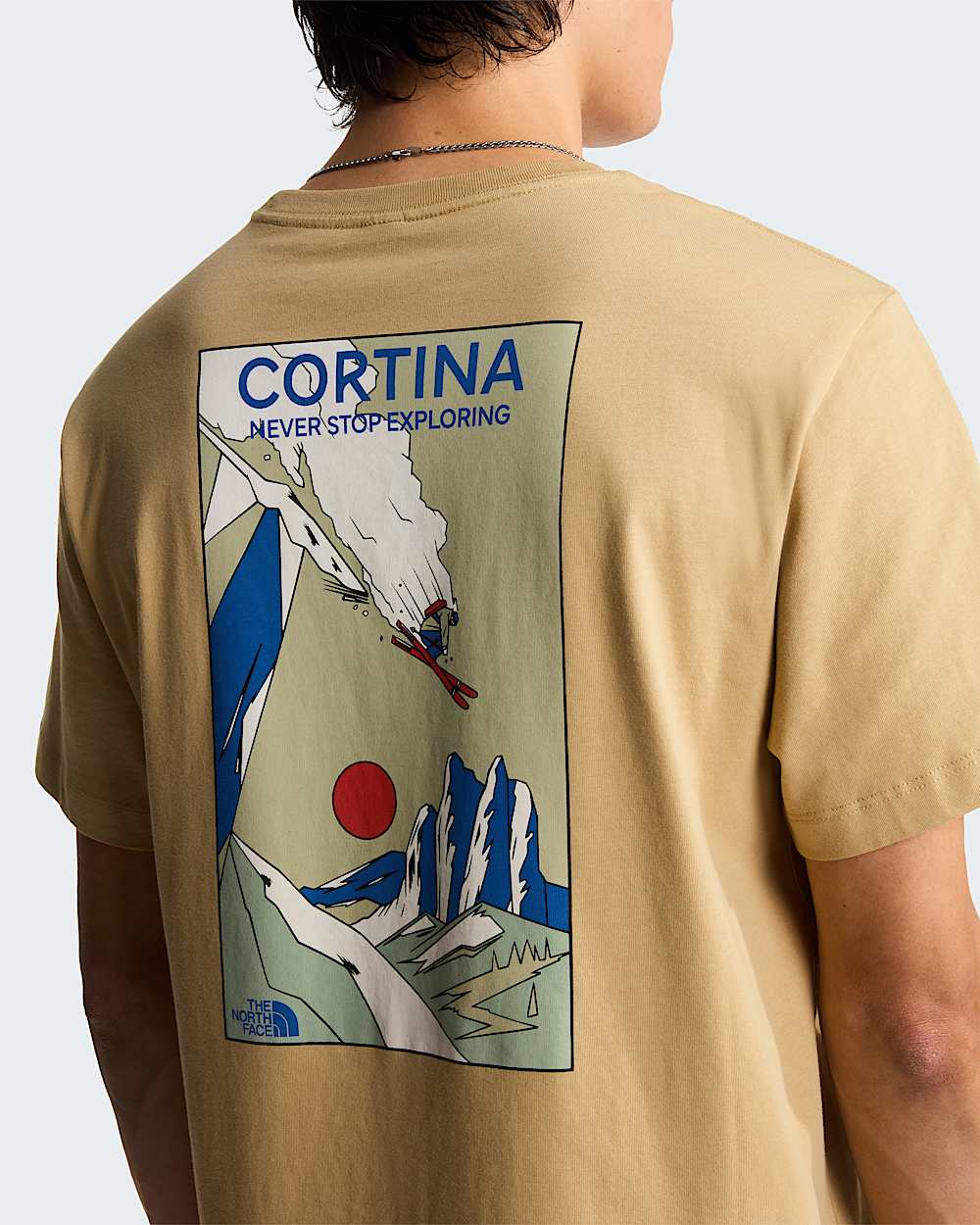 Tshirt Mountain Celebration Regular con grafica unisex TNF ALT7