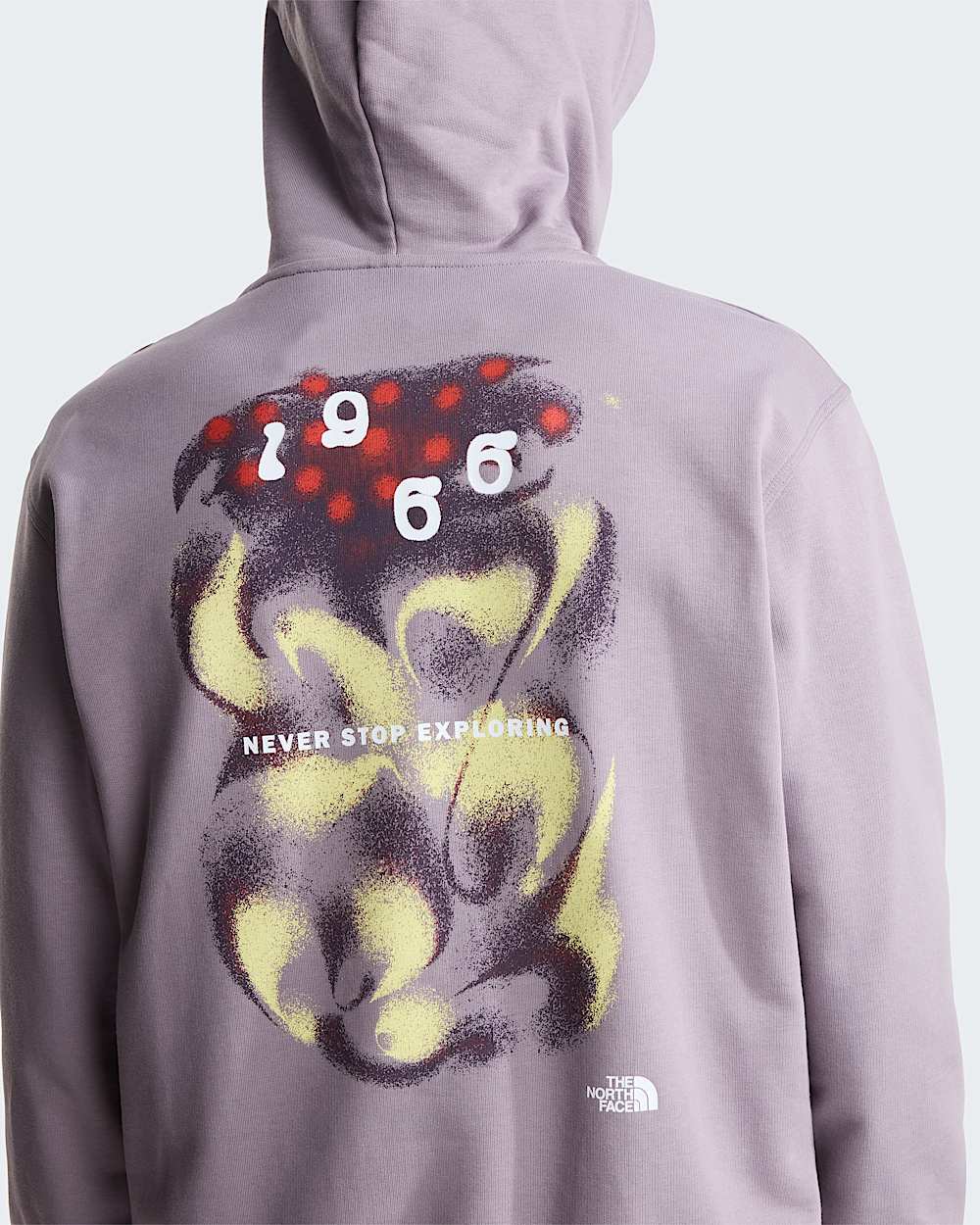 Unisex 1966 Motion Relaxed Graphic Hoodie TNF ALT8