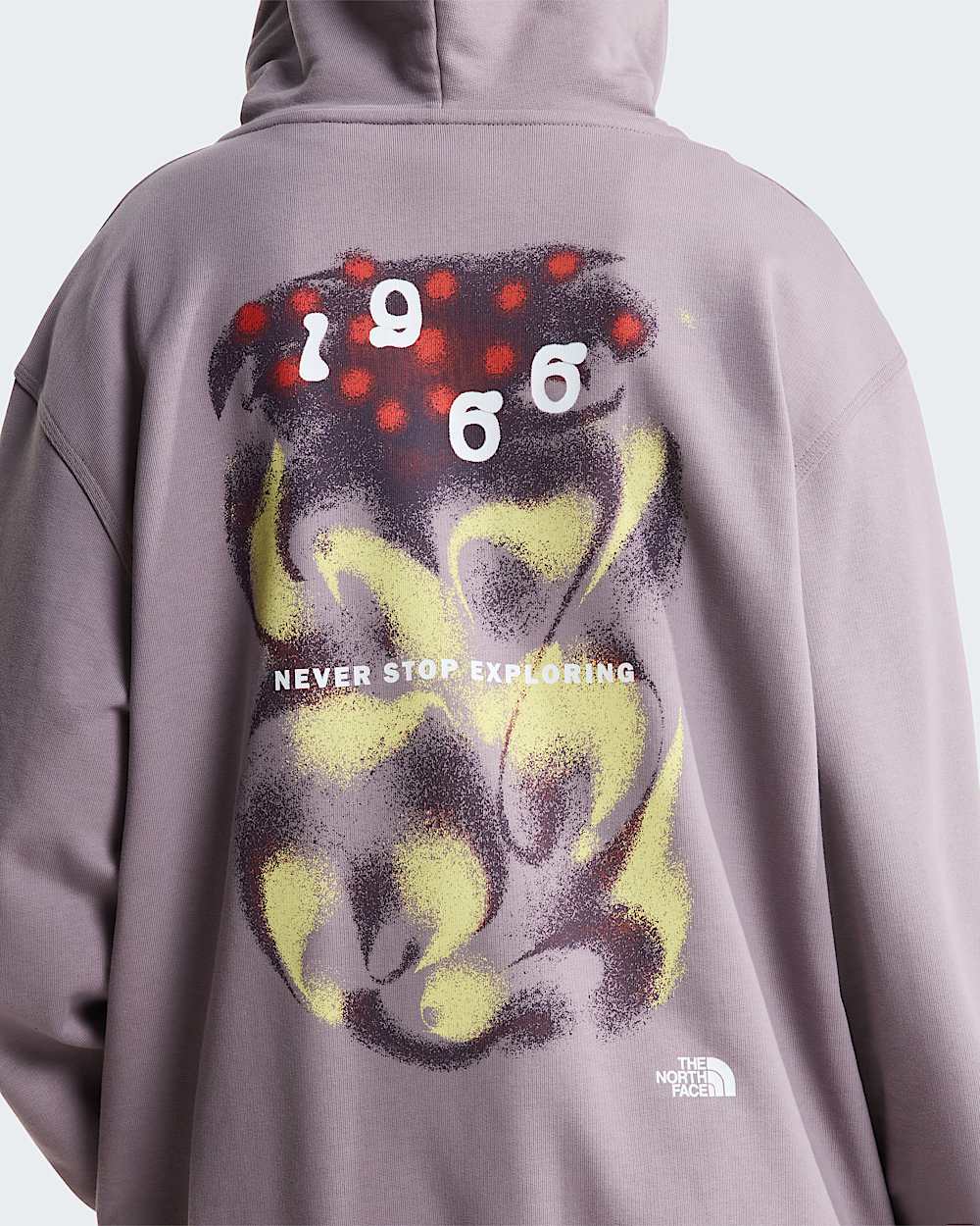 Unisex 1966 Motion Relaxed Graphic Hoodie TNF ALT15
