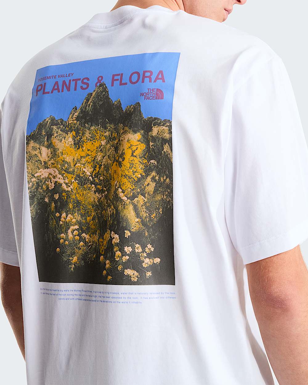 Unisex Plant  Flora Oversized Graphic TShirt TNF ALT7
