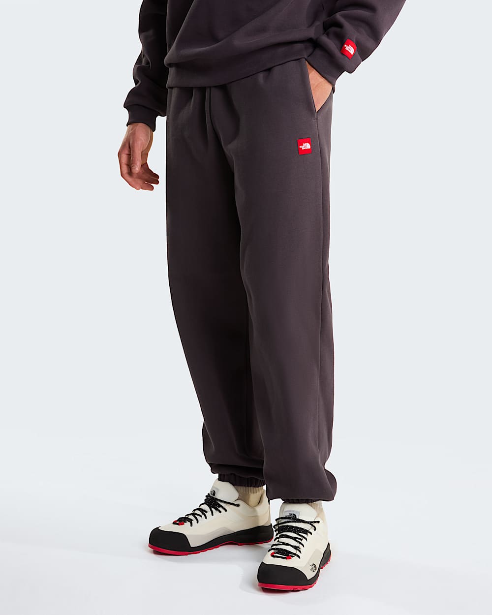 Pantalon de jogging Red Box pour homme TNF alt1