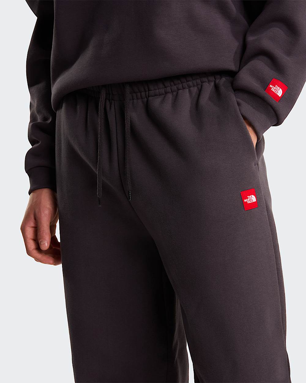 Pantalon de jogging Red Box pour homme TNF alt5