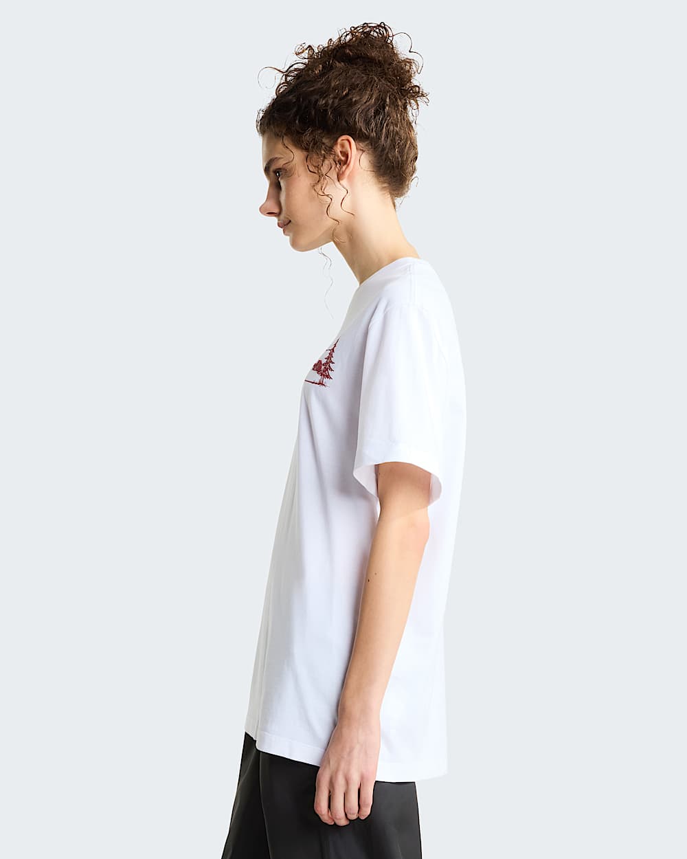 Tshirt Camping Relaxed Graphic unisex TNF alt12