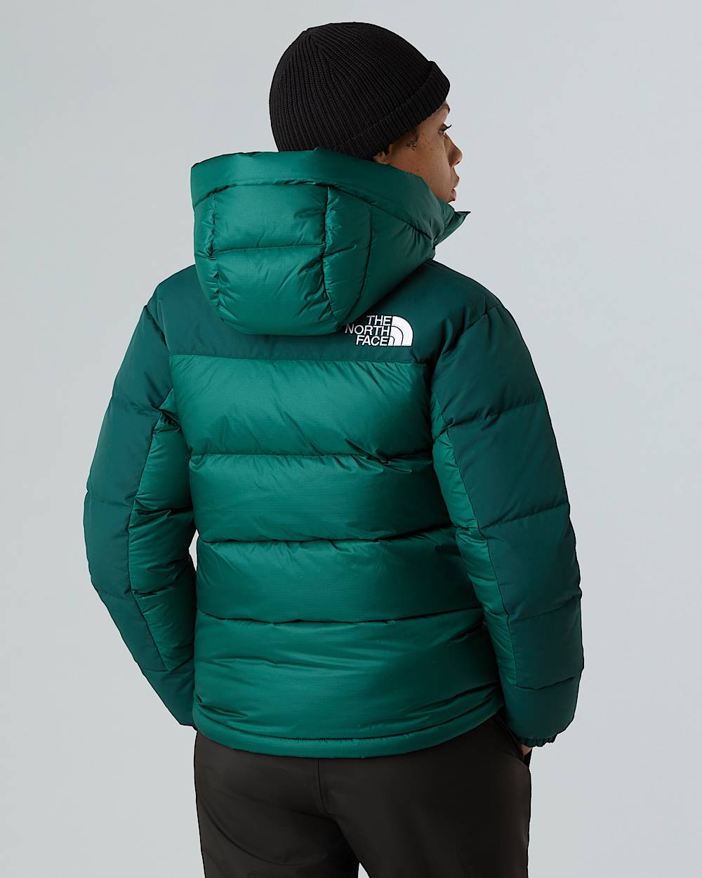 Womens Himalayan Down Parka TNF ALT6