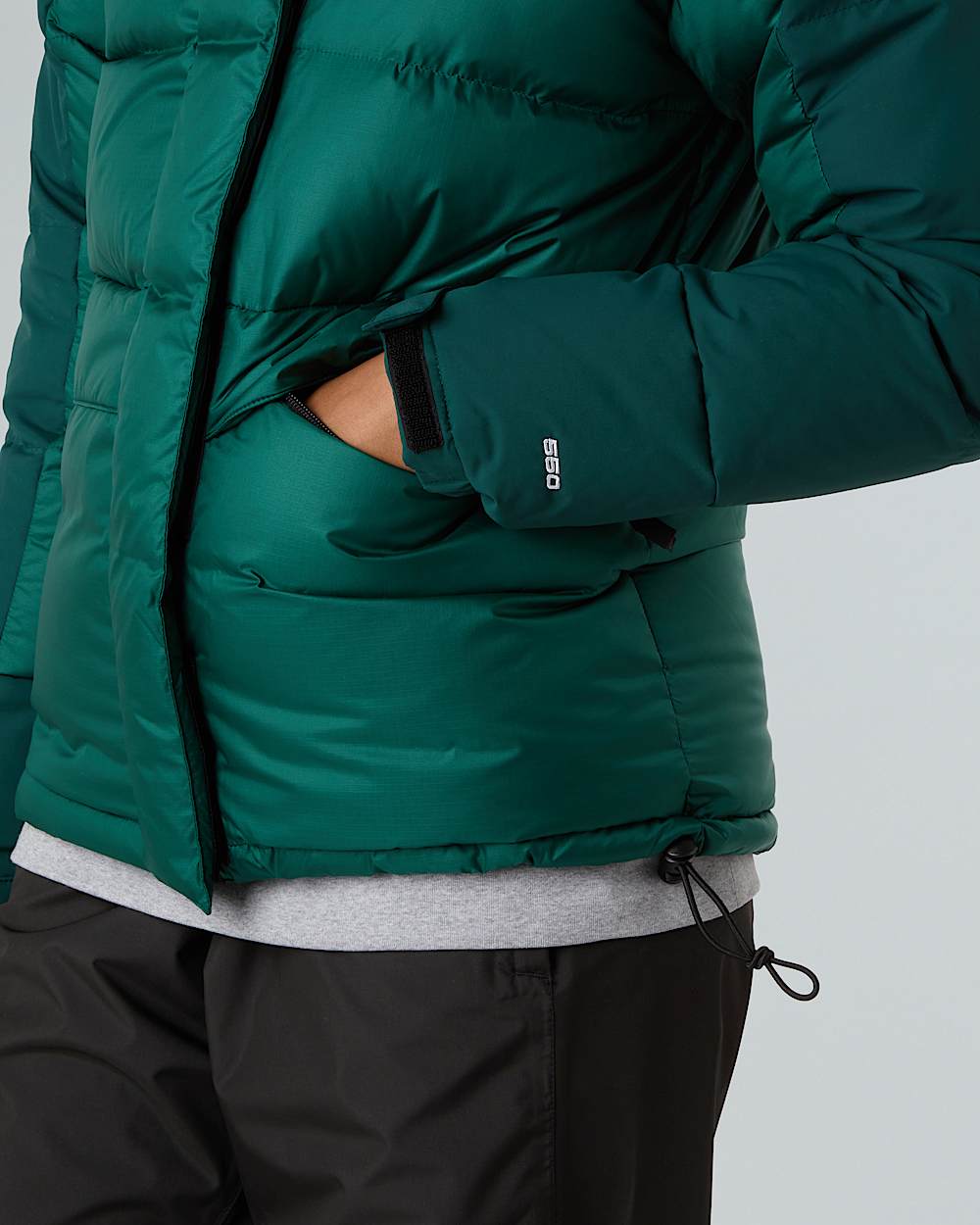 Womens Himalayan Down Parka TNF ALT9