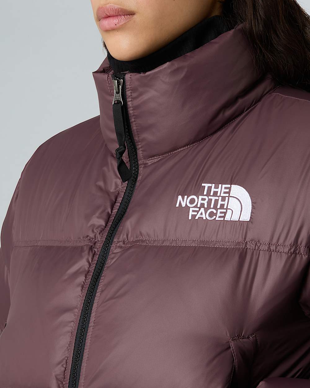    Nuptse TNF alt8