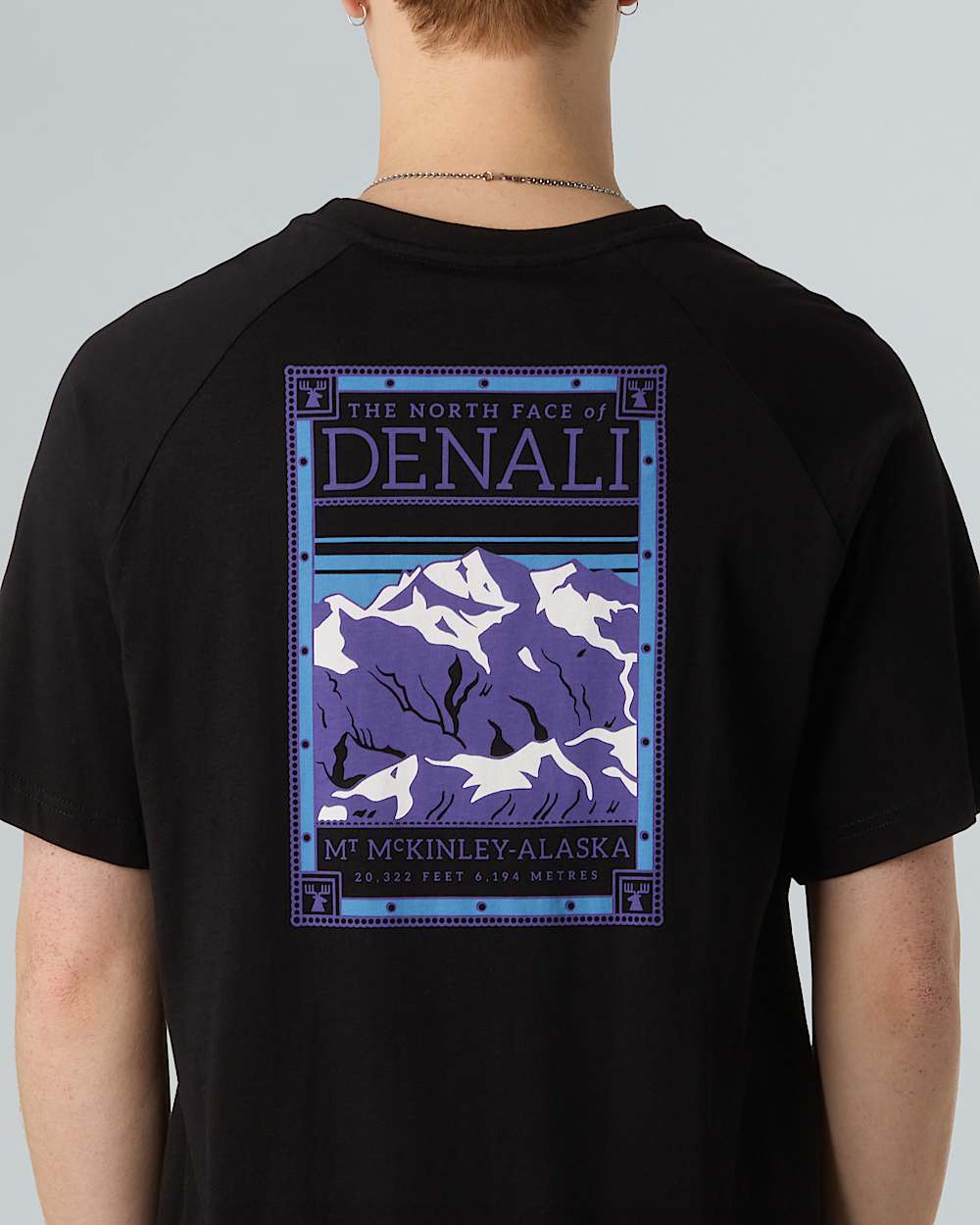 Mens North Faces TShirt TNF ALT8