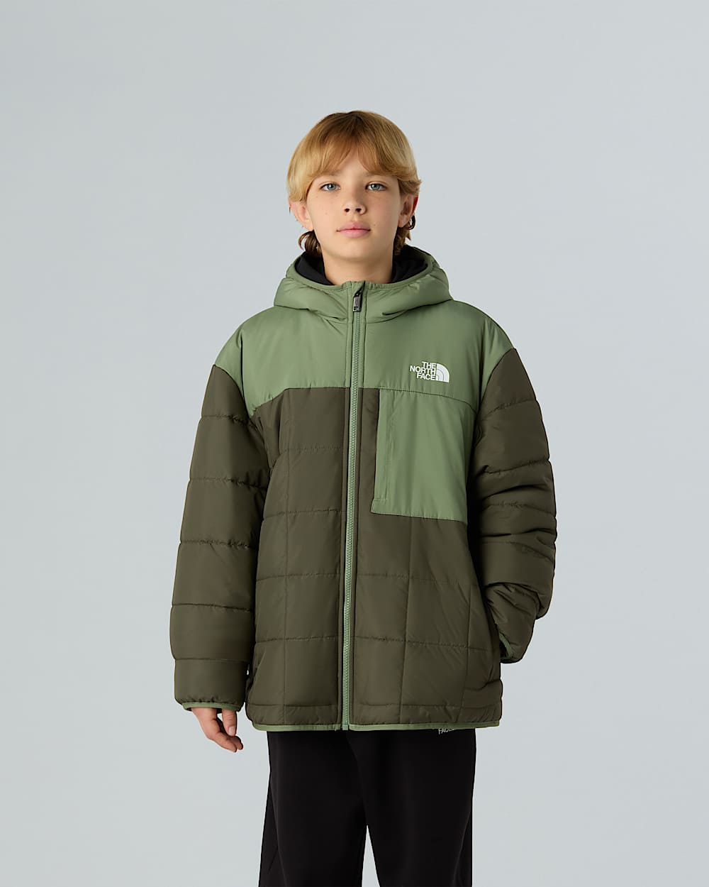Boys Reversible Shasta FullZip Hooded Jacket TNF alt4