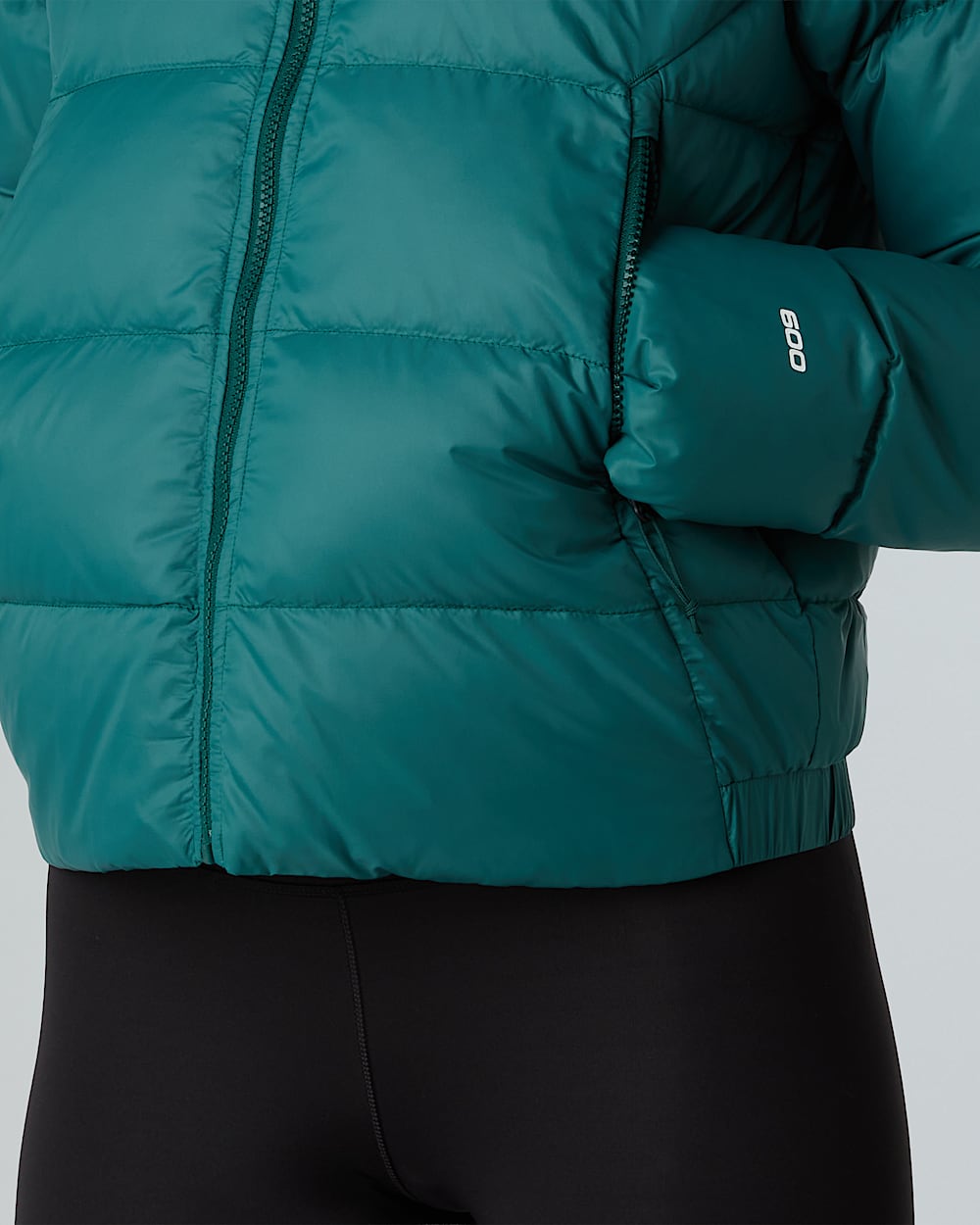 Womens Hyalite Down Hooded Jacket TNF alt9