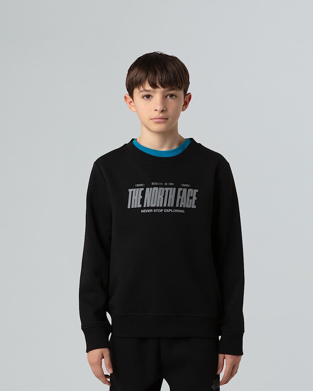 Boys Reflective Logo Relaxed Sweatshirt TNF alt4