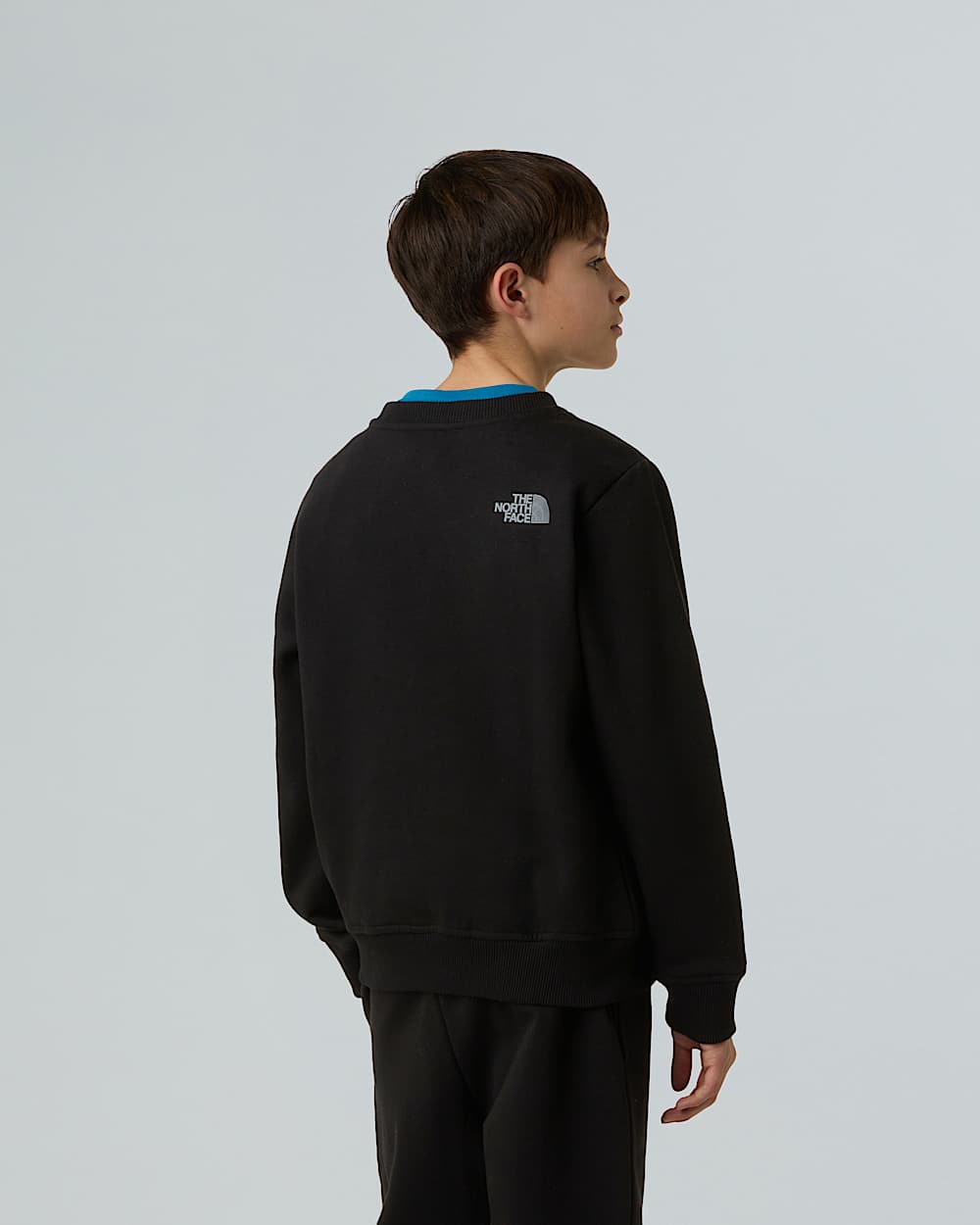 Boys Reflective Logo Relaxed Sweatshirt TNF alt6