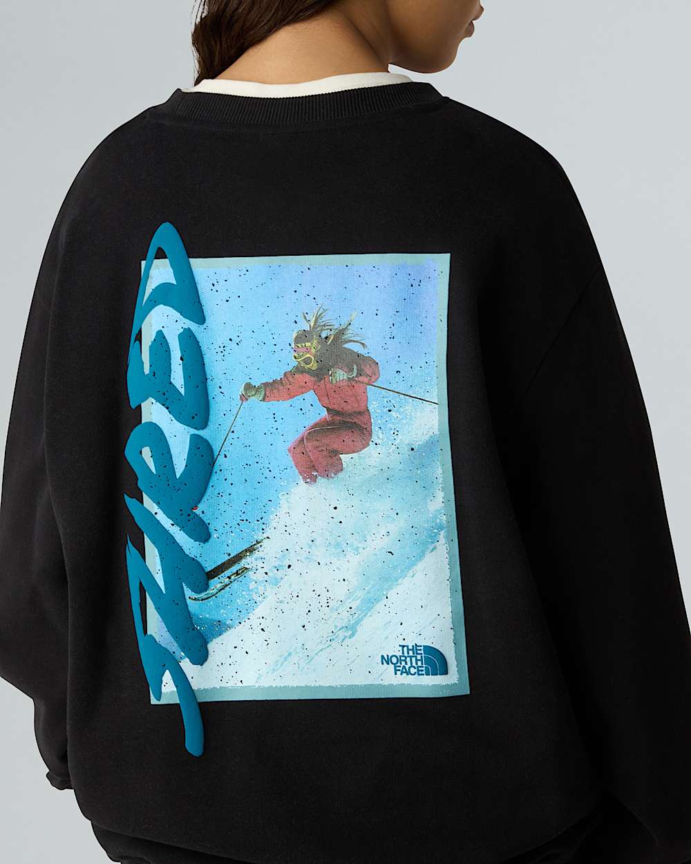 Sudadera holgada NSE Slopes unisex TNF ALT12