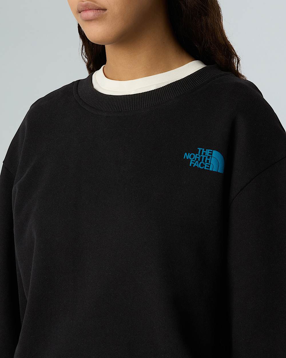 Sudadera holgada NSE Slopes unisex TNF ALT13