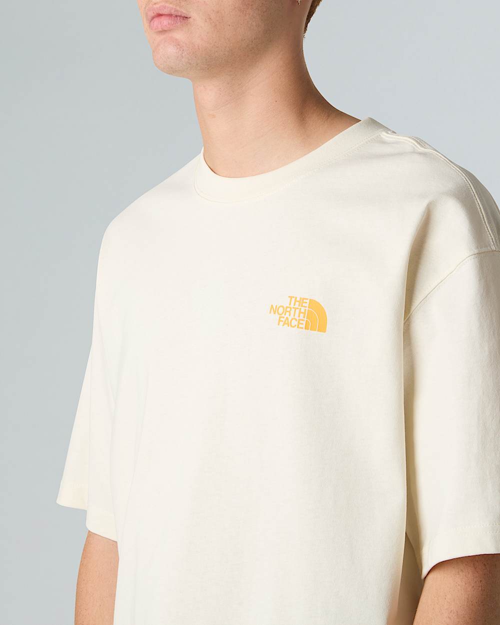 Mens Expedition Relaxed TShirt TNF ALT8