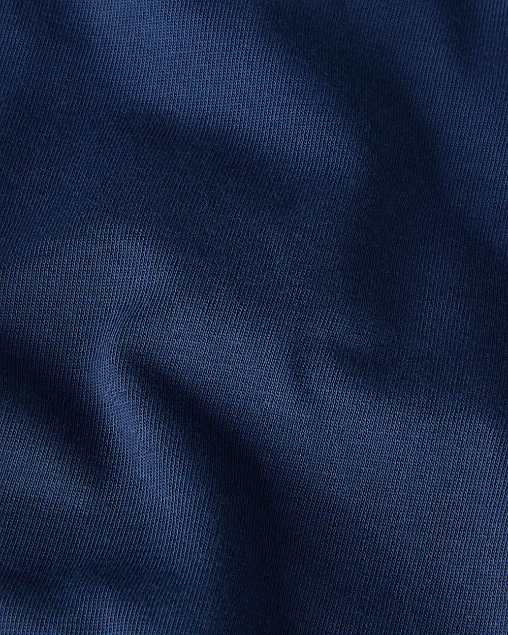 Mens Mountain Logo Relaxed Pocket TShirt TNF ALT24