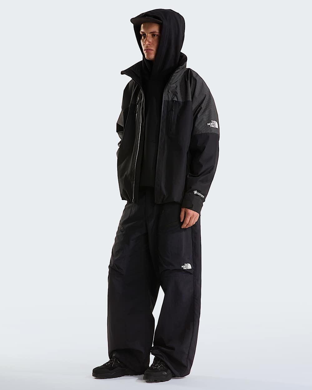 Mens Hike Devils Thumb GORETEX Jacket TNF ALT1