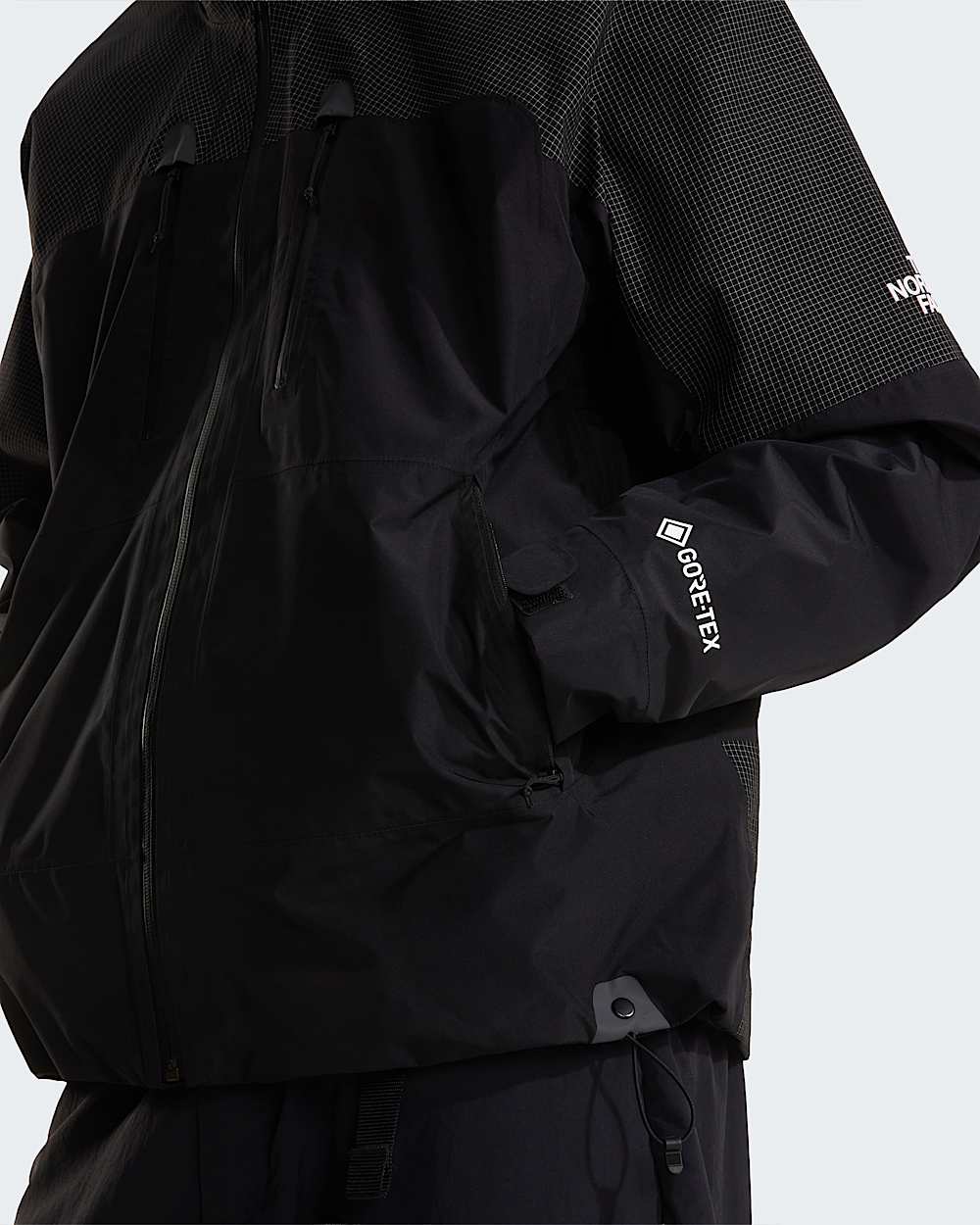 Mens Hike Devils Thumb GORETEX Jacket TNF ALT7