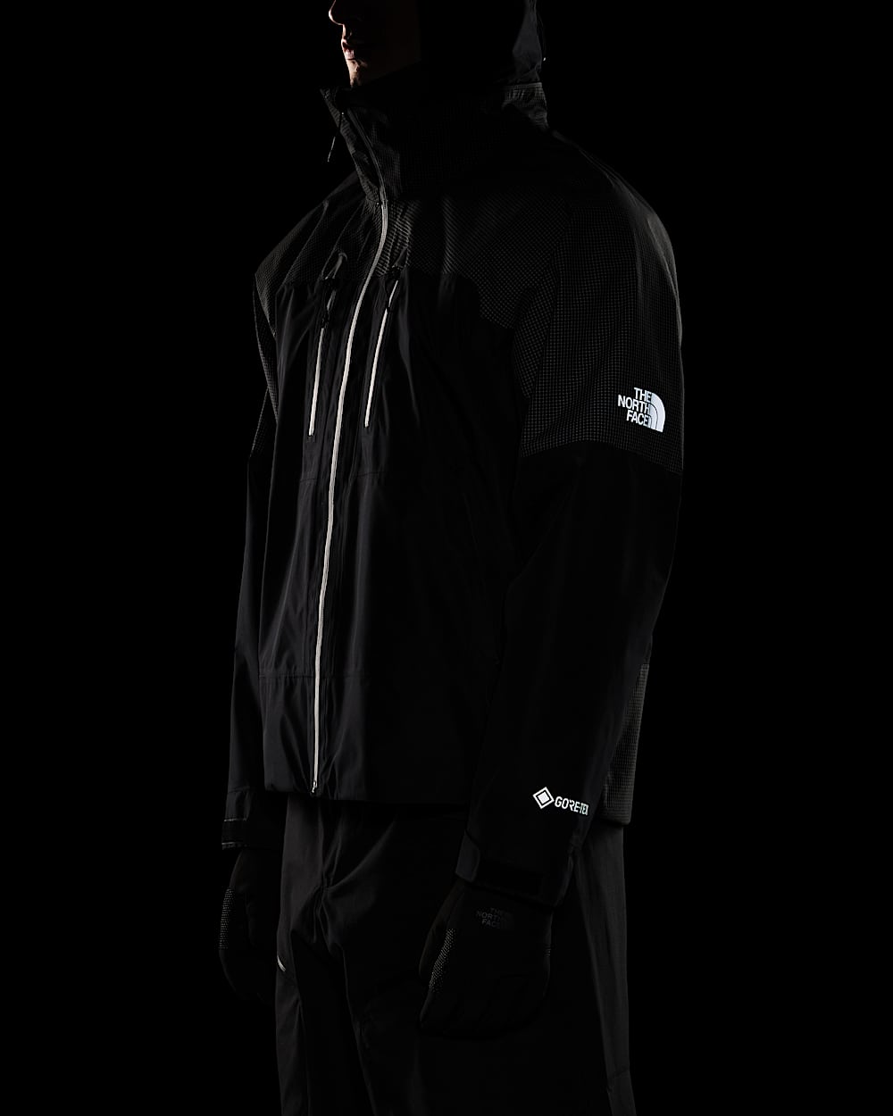 Mens Hike Devils Thumb GORETEX Jacket TNF ALT11