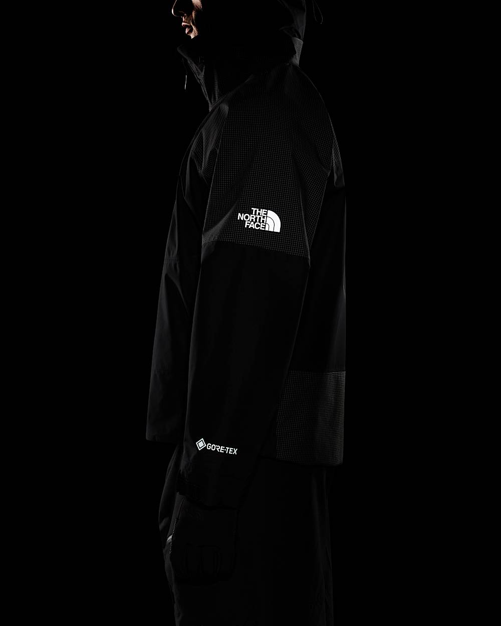 Mens Hike Devils Thumb GORETEX Jacket TNF ALT12
