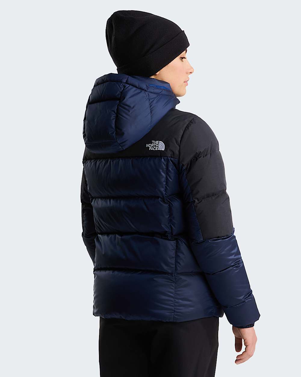 Womens Diablo Down 20 Hooded Jacket TNF ALT3