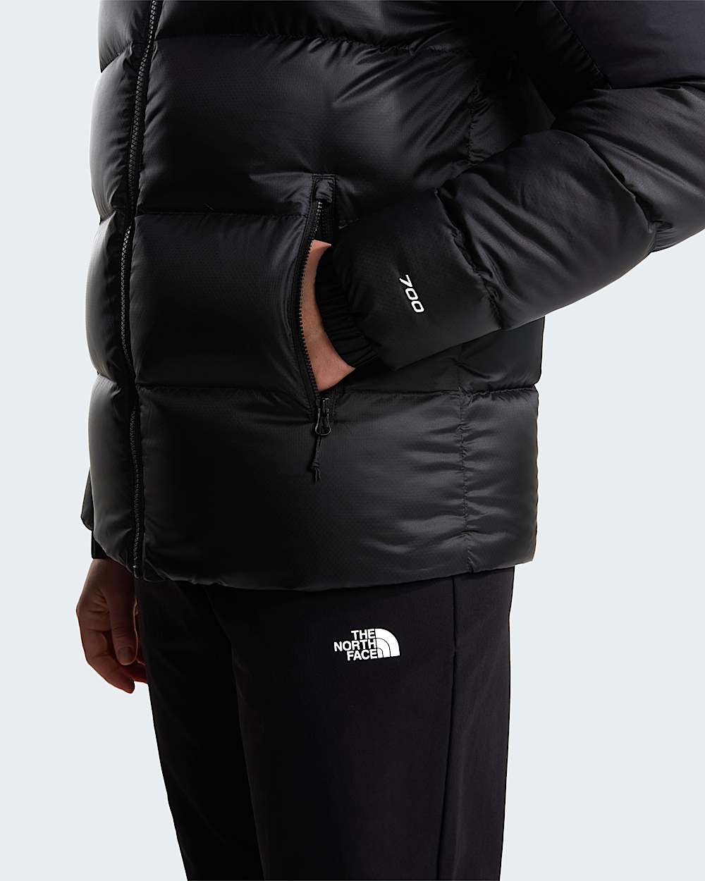 Veste en duvet  capuche Diablo 20 pour femme TNF alt8