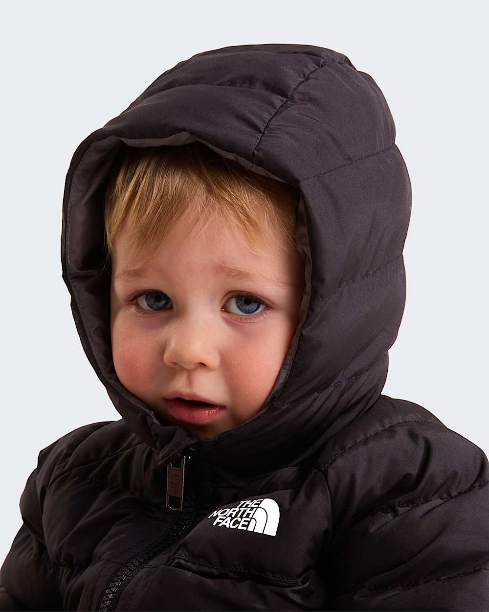   Reversible Perrito TNF alt6
