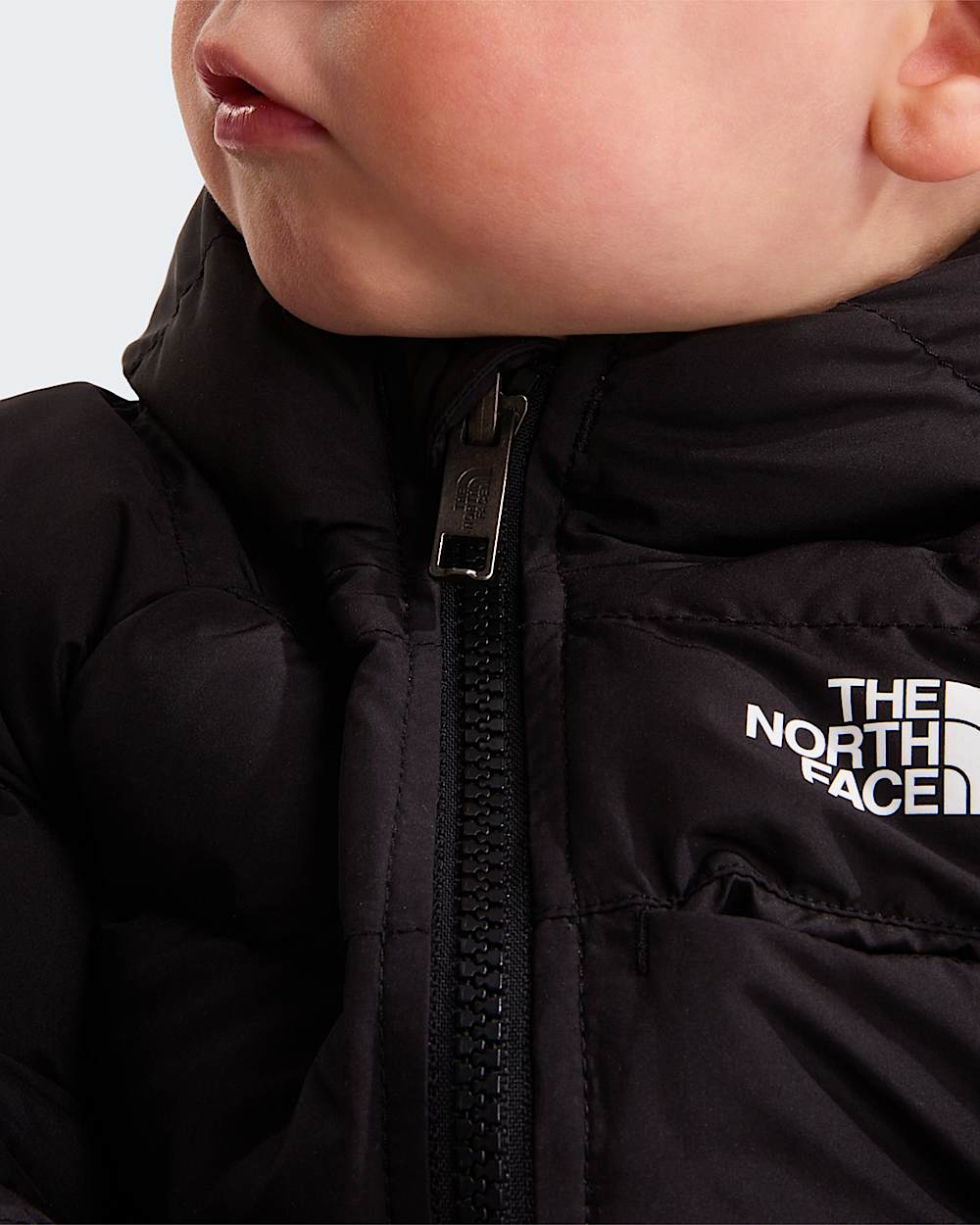   Reversible Perrito TNF alt7