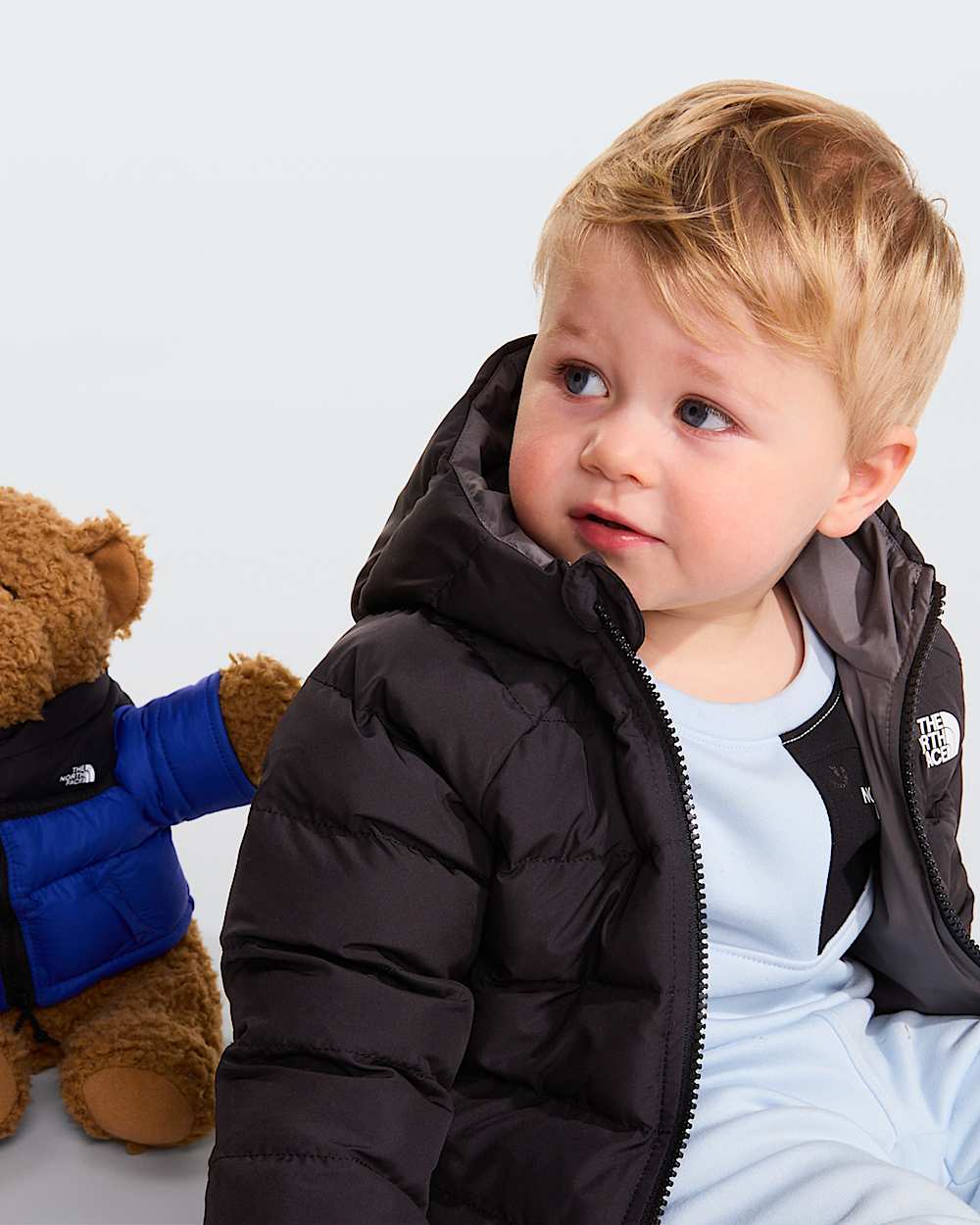   Reversible Perrito TNF alt8