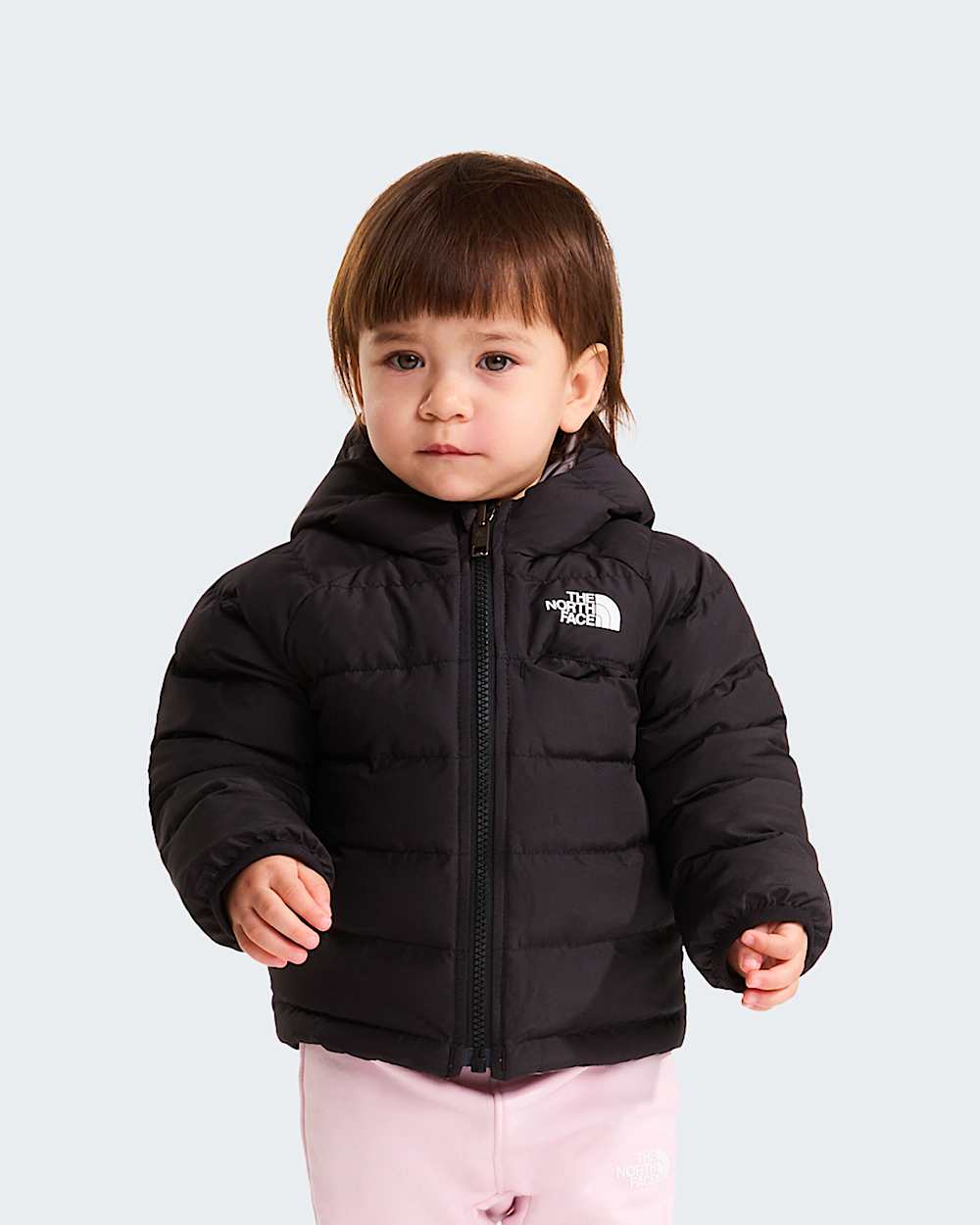   Reversible Perrito TNF alt9