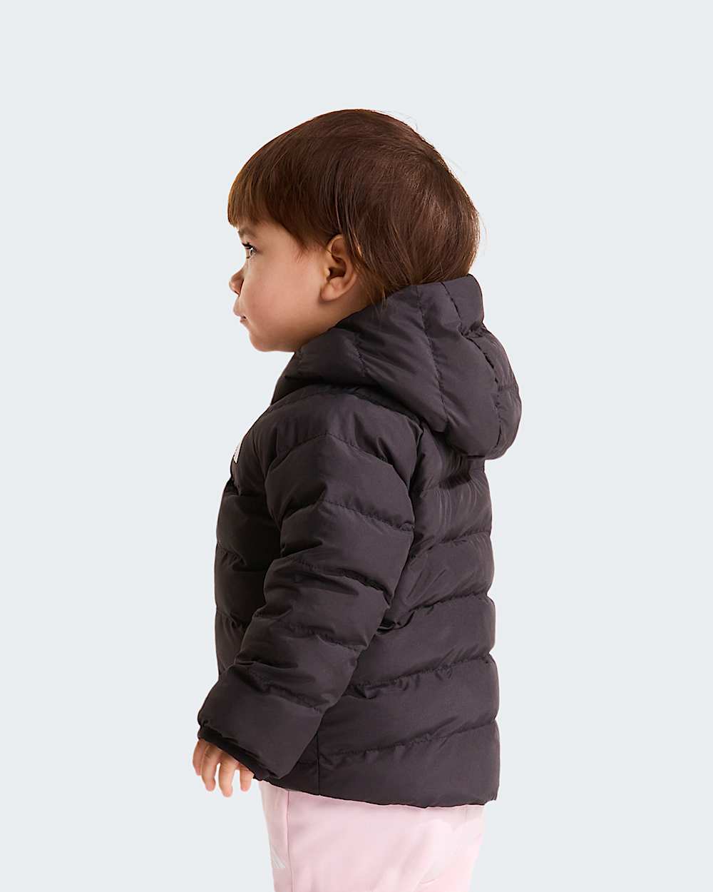   Reversible Perrito TNF alt11