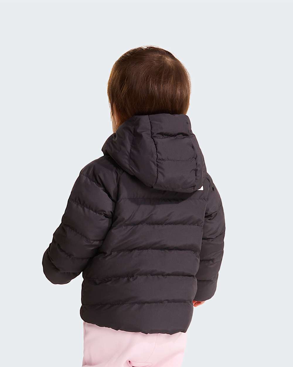   Reversible Perrito TNF alt12