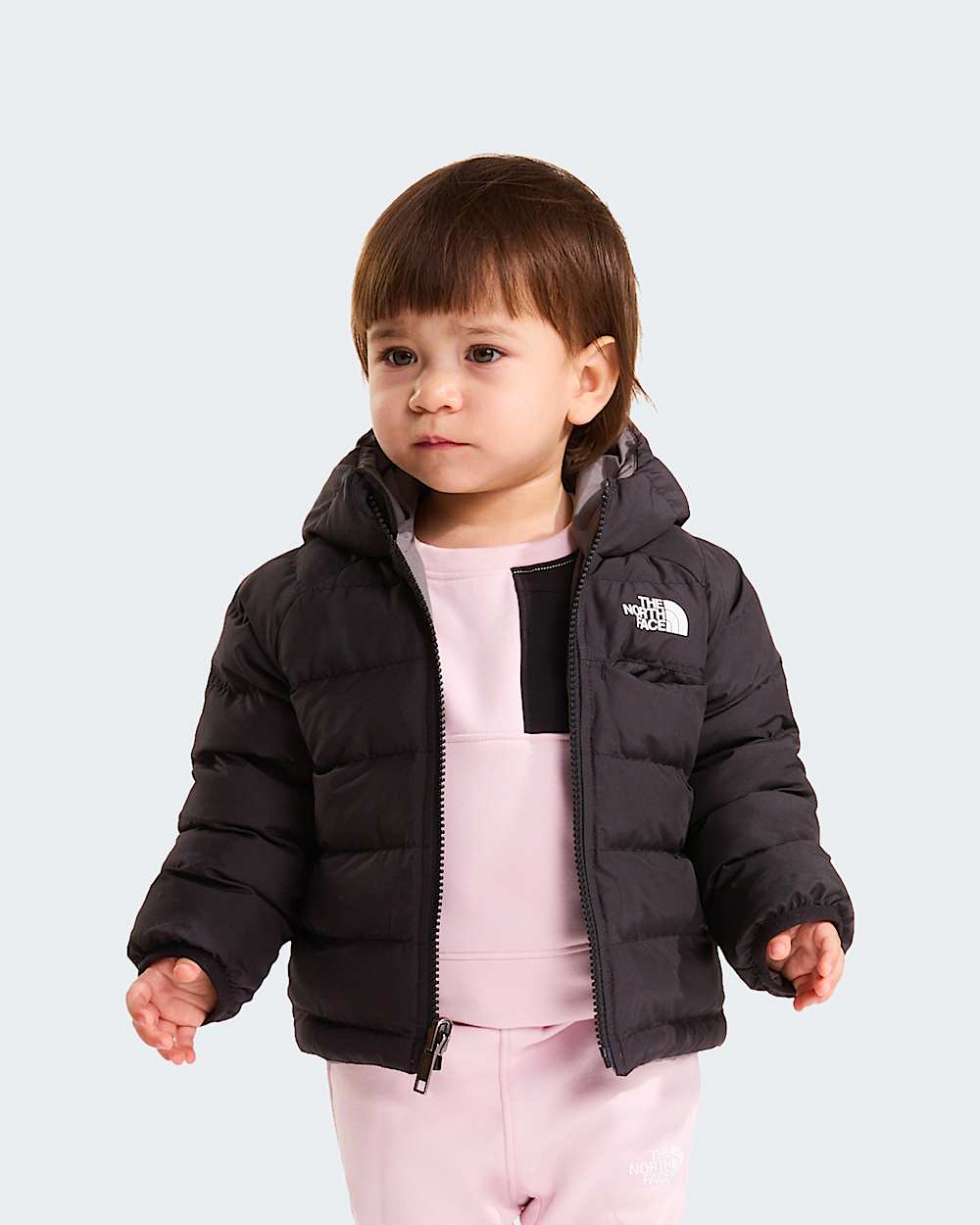   Reversible Perrito TNF alt13