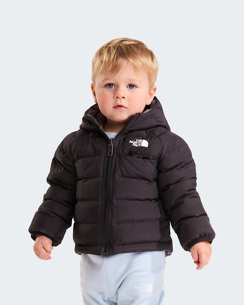   Reversible Perrito TNF hero
