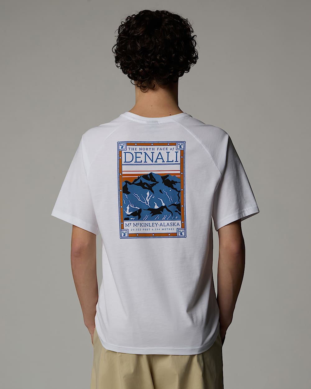Tshirt North Faces pour homme TNF ALT4