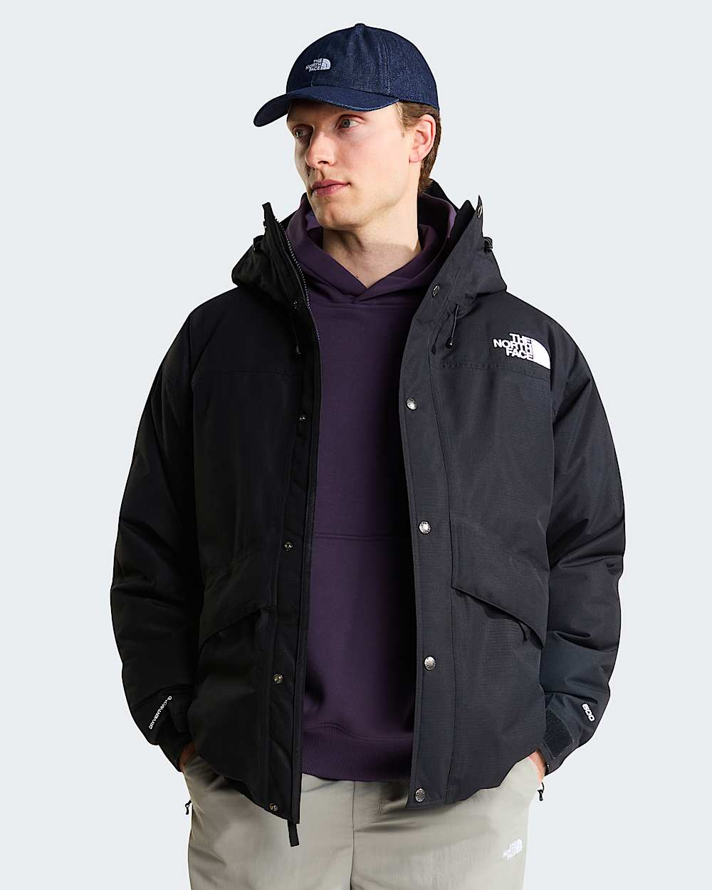 Mens Mountain Down Jacket TNF alt4