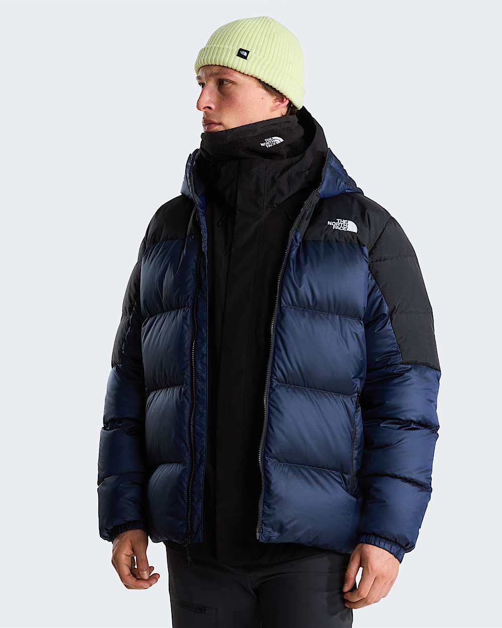 Mens Diablo Down 20 Hooded Jacket TNF ALT4