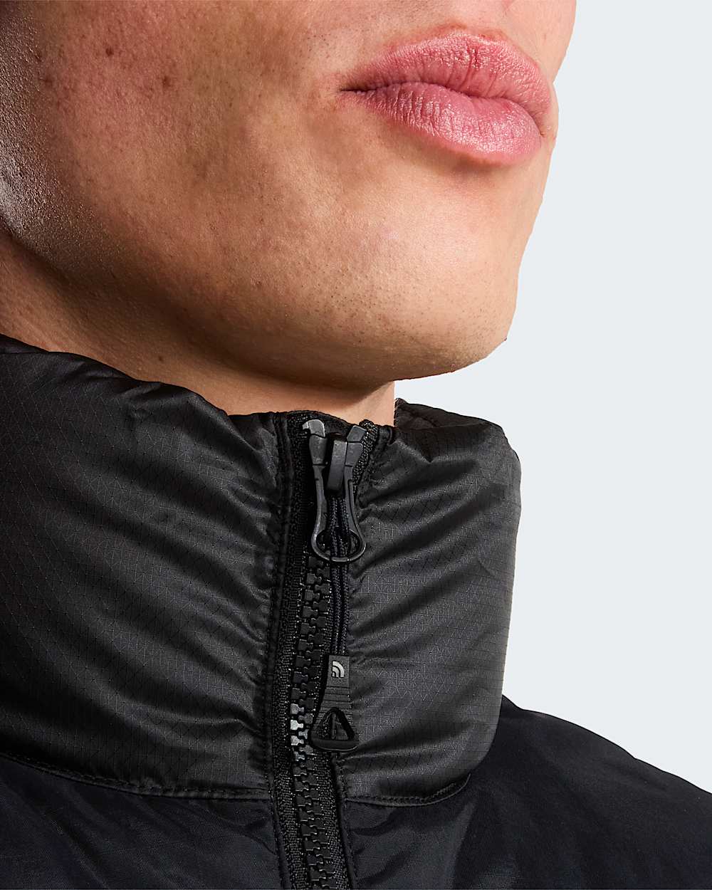 Mens Diablo Down 20 Gilet TNF ALT6