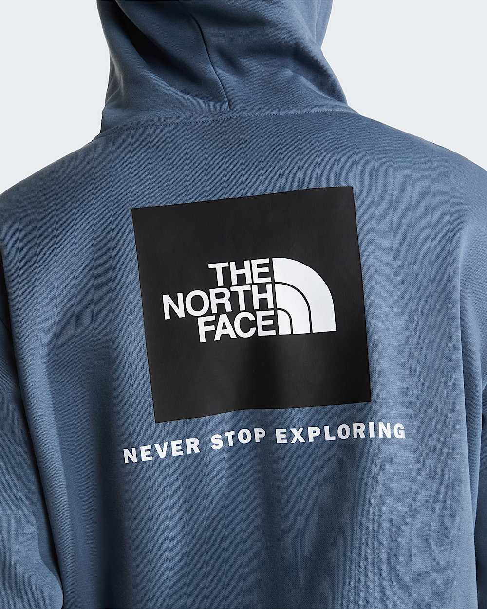 Sweat  capuche standard Evolution Box NSE pour homme TNF alt5