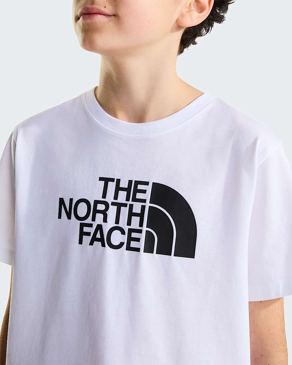 Evolution Half Dome Tshirt Junior TNF ALT4