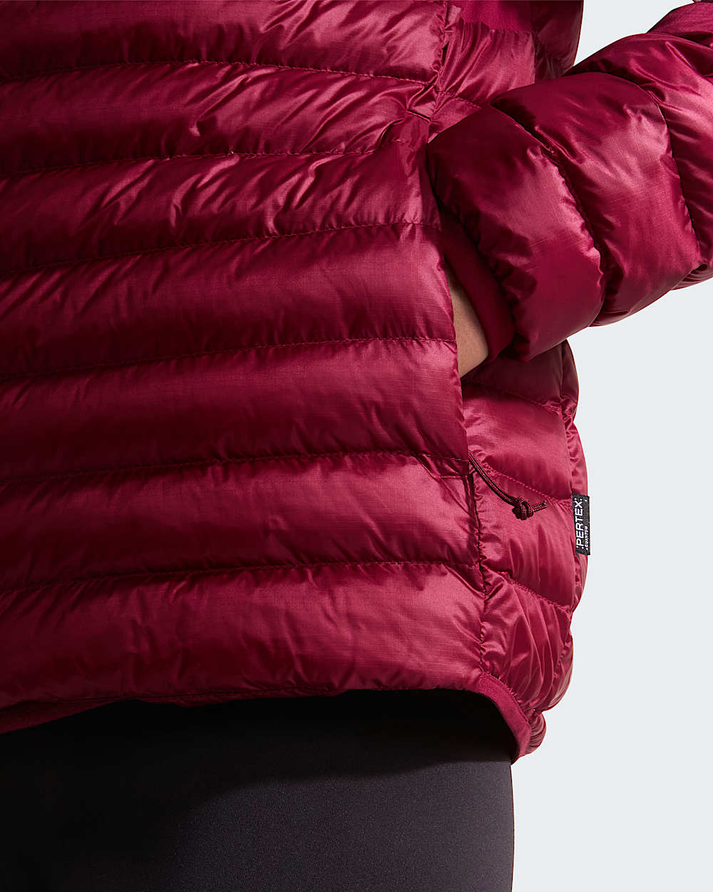 Womens Terra Peak Hooded Jacket TNF ALT6