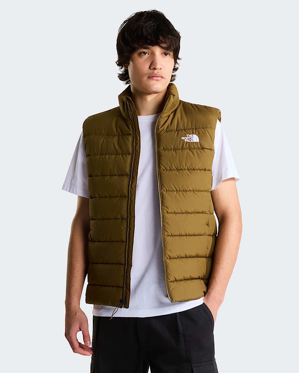 Mens Aconcagua Gilet TNF ALT4