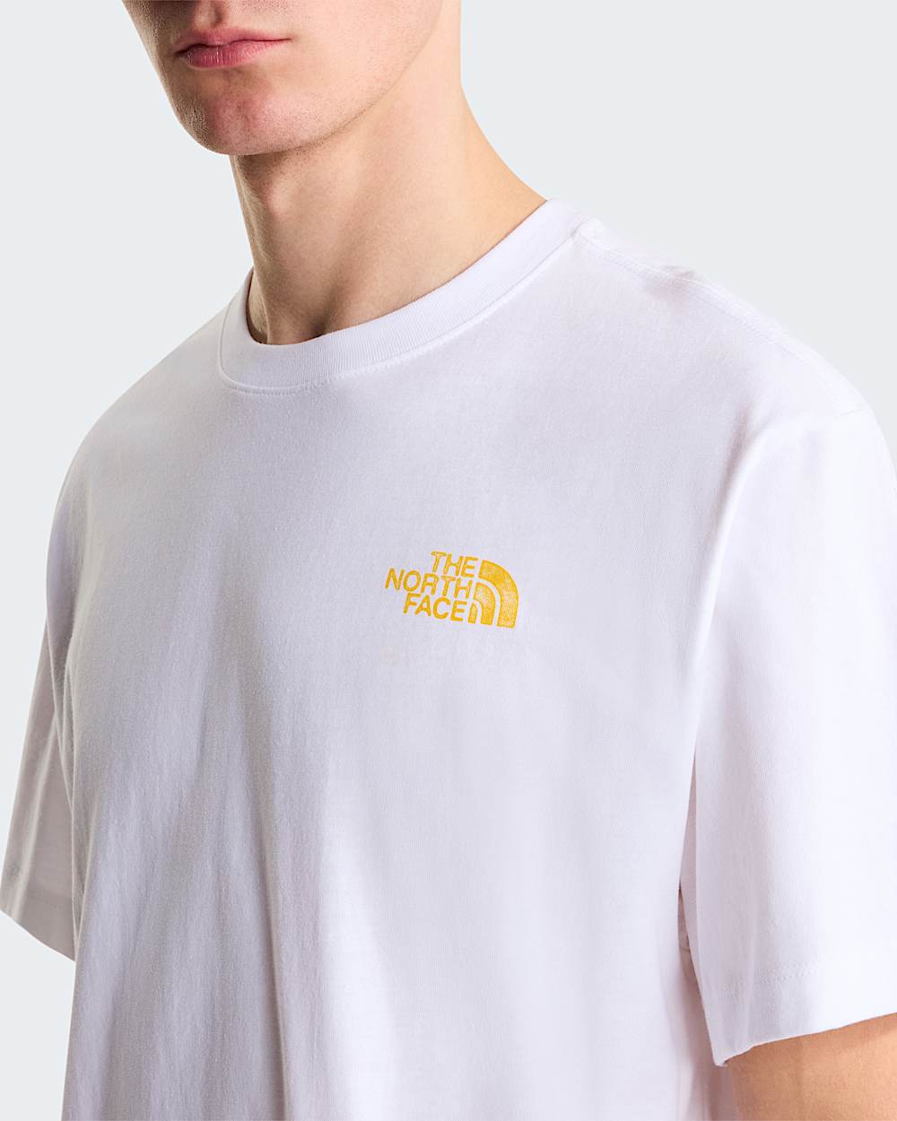 Tshirt Pitch A Tent Relaxed da uomo TNF ALT4