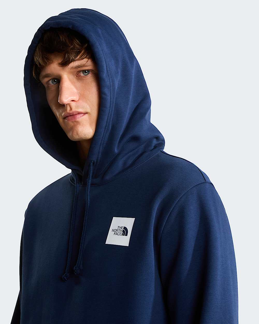 Sudadera recta con capucha Box Half Dome para hombre TNF ALT4