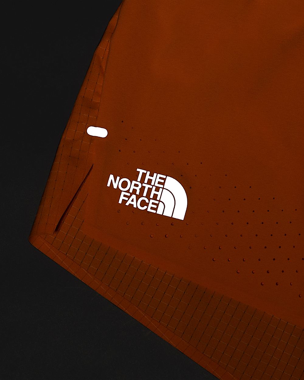 Summit Pacesetter Graphic Shorts Damen TNF ALT25