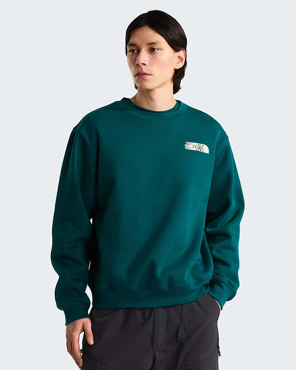 Retro Trail Relaxed Graphic Sweatshirt M TNF ALT1