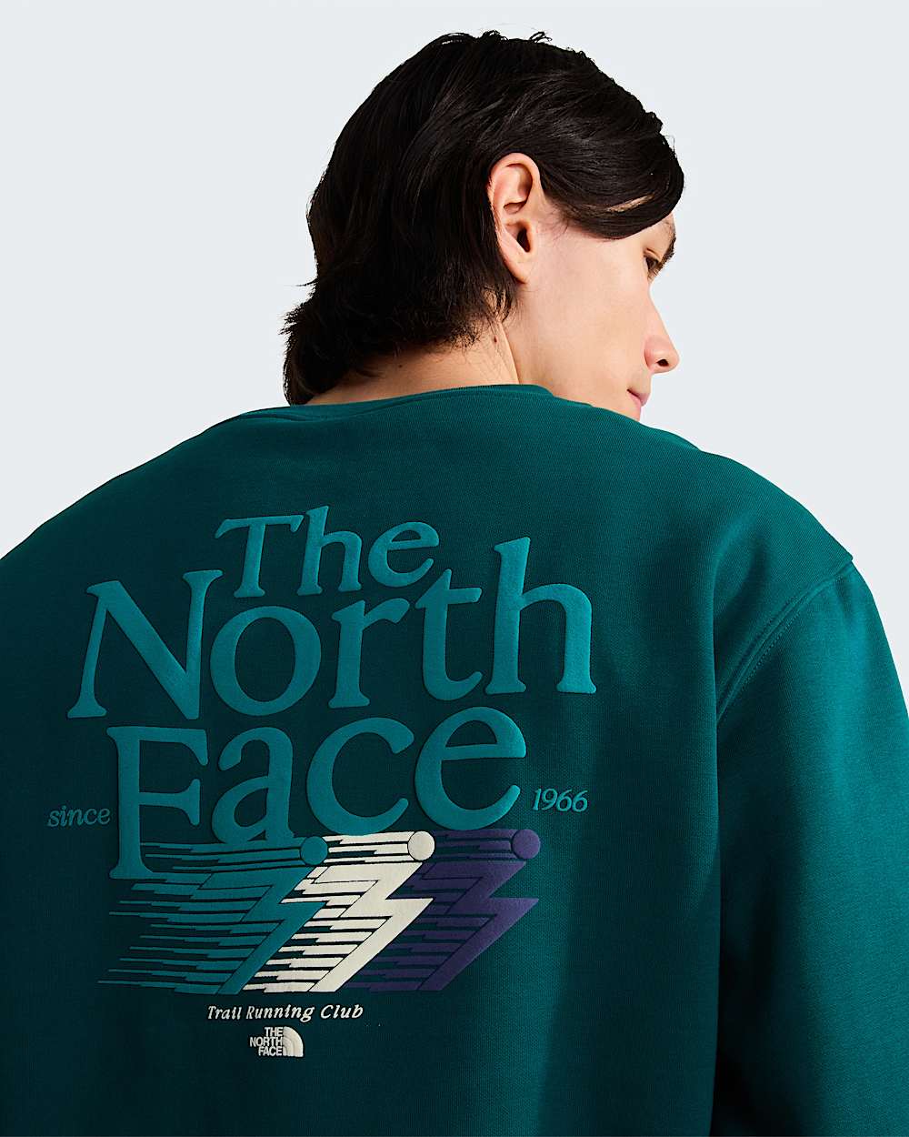 Retro Trail Relaxed Graphic Sweatshirt M TNF ALT5