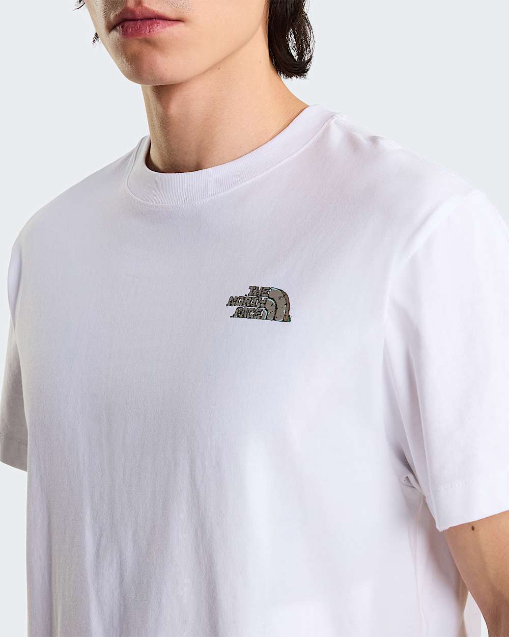 Stone Logo Relaxed Graphic TShirt Uniseks TNF ALT6